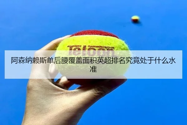 阿森纳赖斯单后腰覆盖面积英超排名究竟处于什么水准